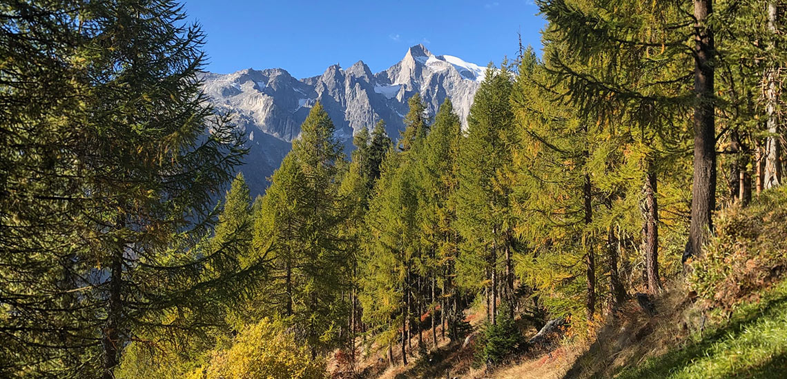Chalet zum Hirsch, Bellwald, Wallis. Ausflüge in die Region