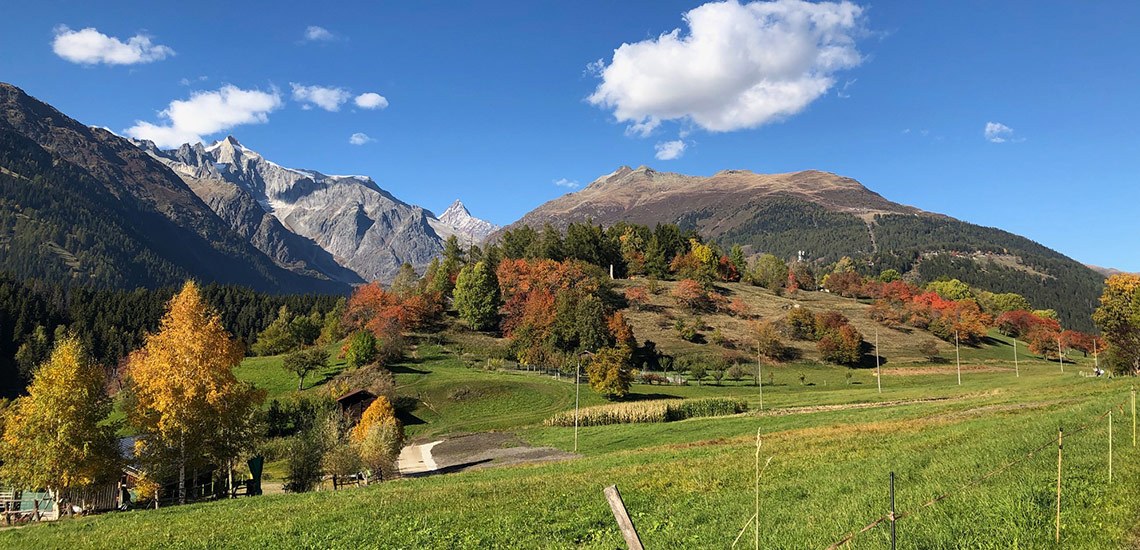 Chalet zum Hirsch, Bellwald, Wallis. Ausflüge in die Region