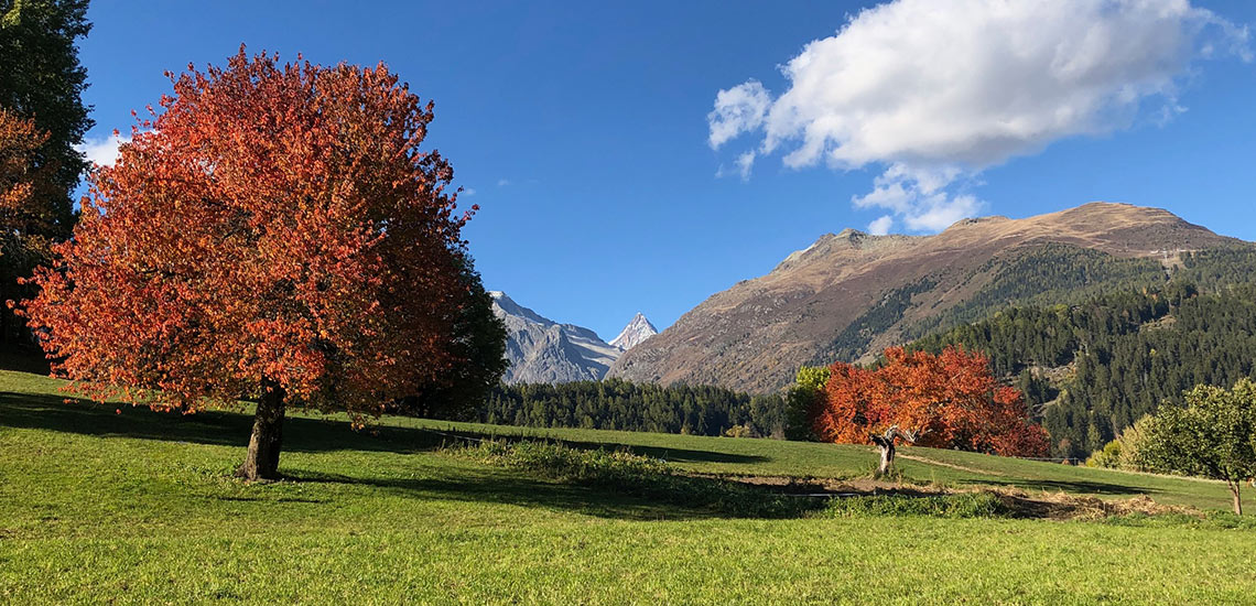 Chalet zum Hirsch, Bellwald, Wallis. Ausflüge in die Region